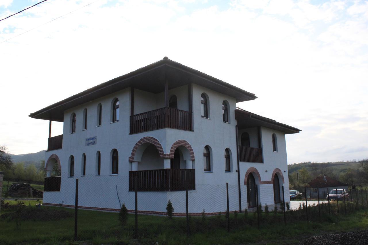 Pensiunea Casa Ungur Cetea 外观 照片