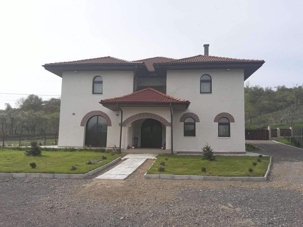Pensiunea Casa Ungur Cetea 外观 照片