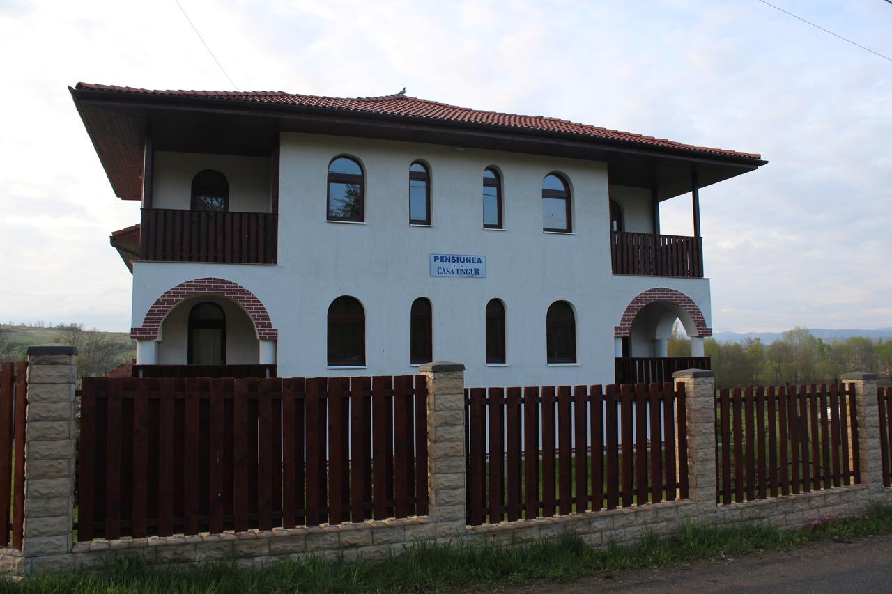 Pensiunea Casa Ungur Cetea 外观 照片